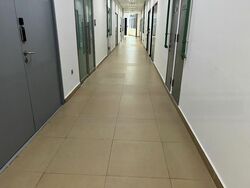 Oxley Bizhub (D14), Factory #458256281